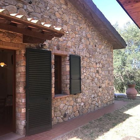 La Sassetta Villa Bibbona Bagian luar foto
